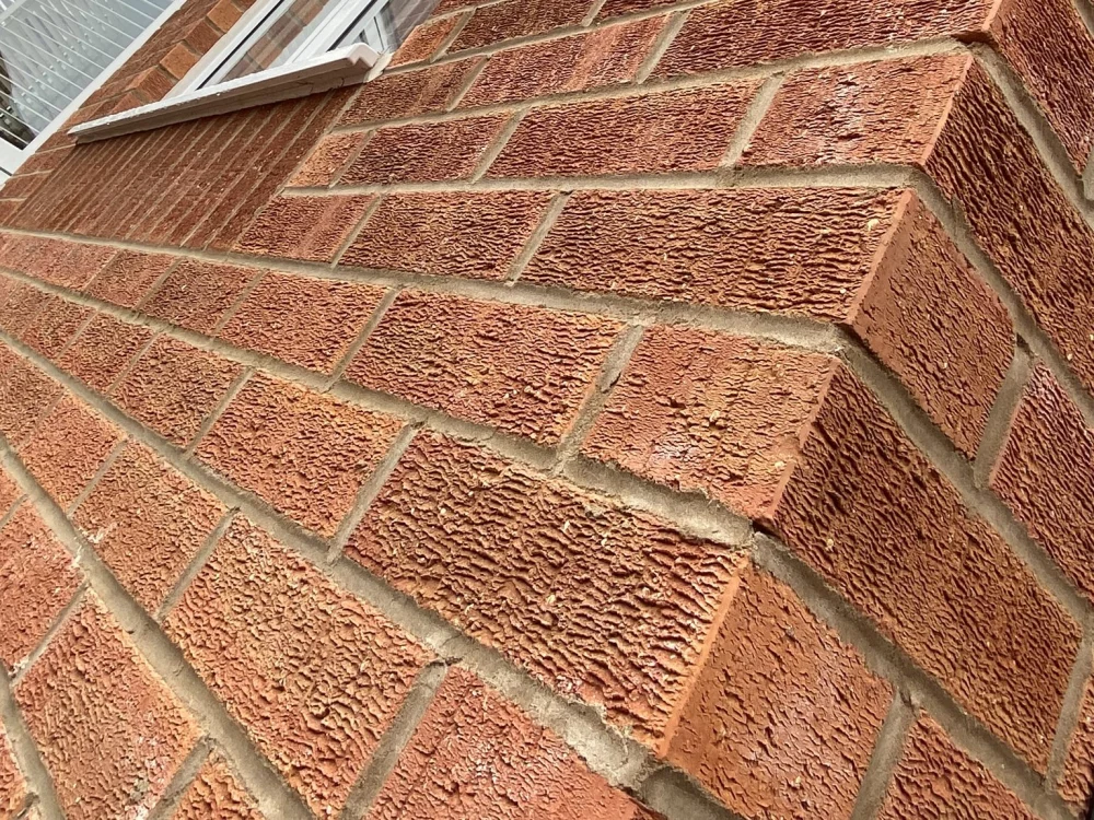 E0019: Clent Russet Mixture