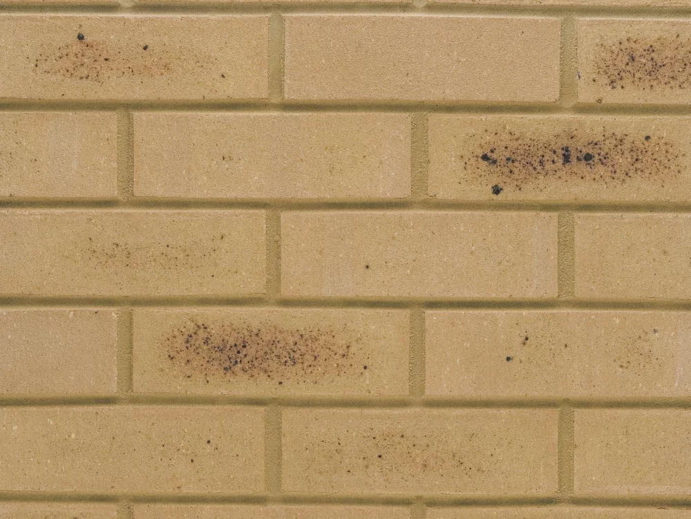 E0026: Kelmsley Yellow