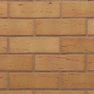 E0081: Warm Golden Buff