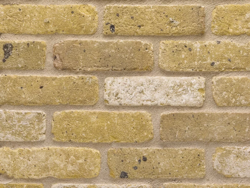 E0109 - Smeed Dean Islington Yellow Rustica