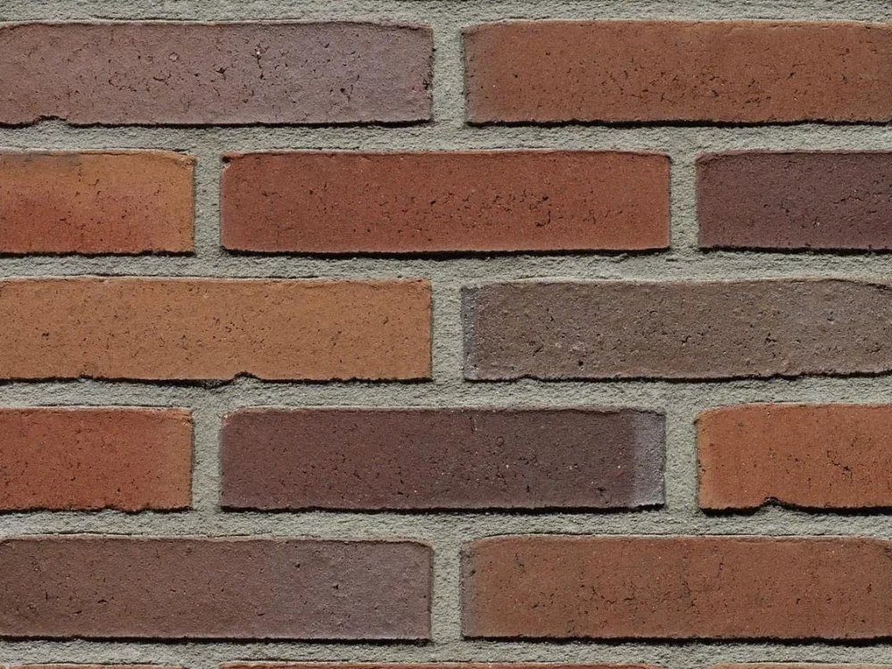 E0131 - Ashley Red Multi 50