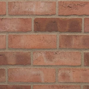 E0132 - Autumn Russet Sovereign Stock