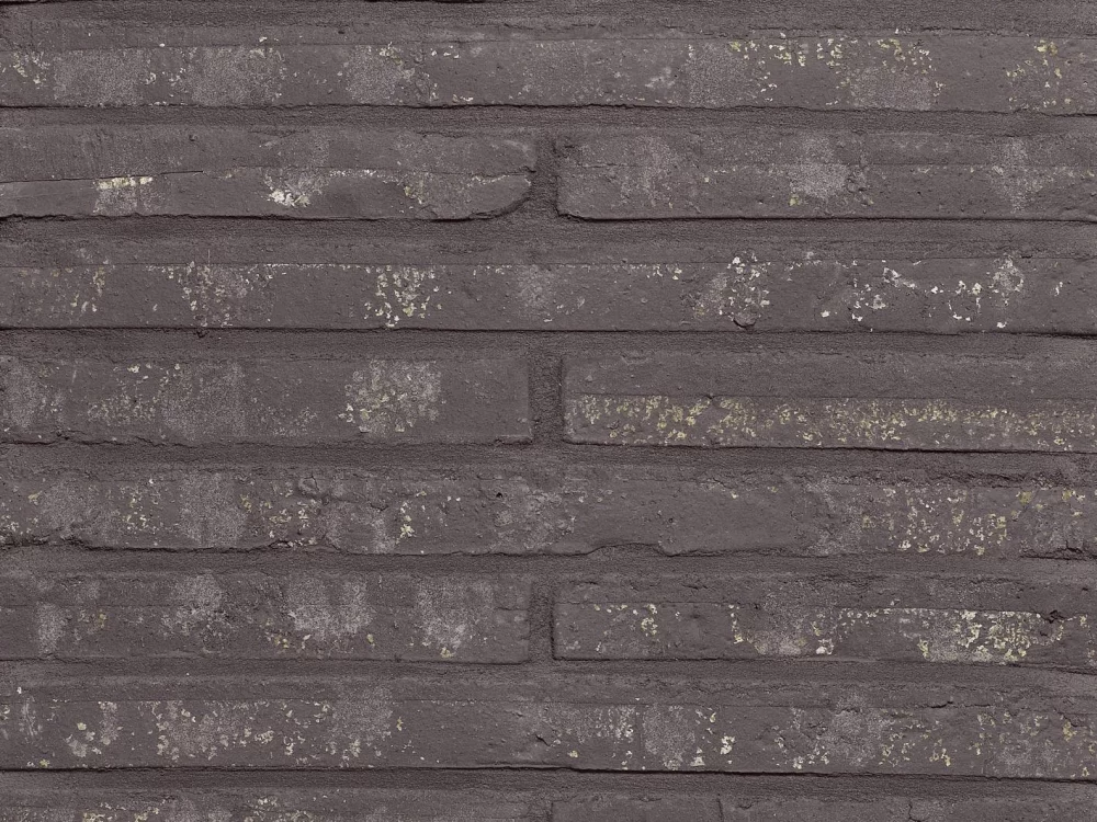 E0143 - Roman Black Waterstruck