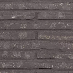 E0143 - Roman Black Waterstruck