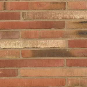 E0144 -Roman Diginita