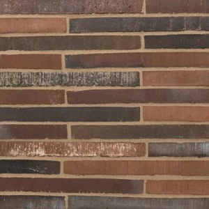 E0147 - Roman Maestra