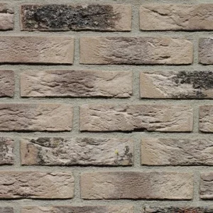 A rustic white brick with black accents.