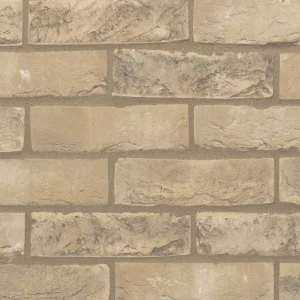 A rustic white/cream brick.