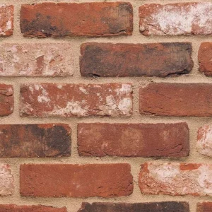 A rustic red brick with highlights of black and white.