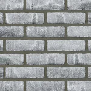 F0073 - Karma Phoenix