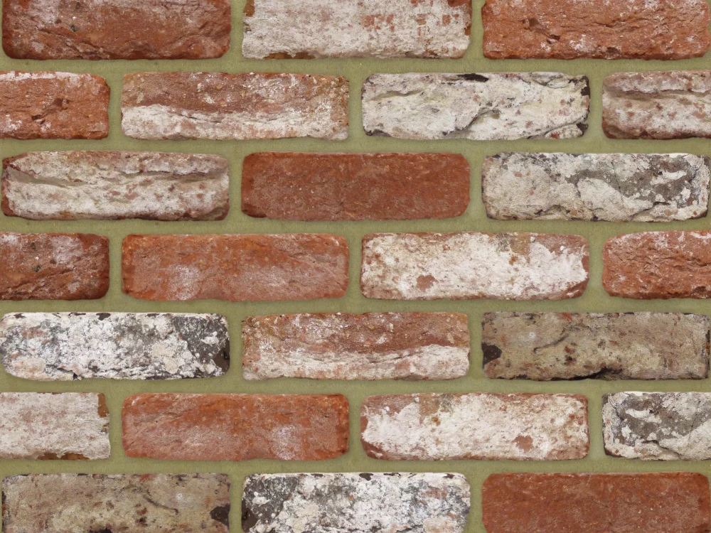 F0138: Venus Rustica