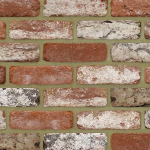 F0138: Venus Rustica