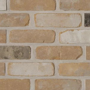 G0055 - Downham Yellow Mixture