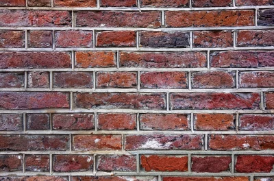 A close-up view of a red brick wall with visible mortar lines and varied brick colors and textures. There is efflorescence across the bricks.