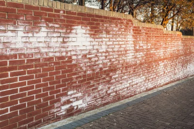 A red brick wall with patches of white efflorescence, adjacent to a paved footpath, with trees and sunlight in the background.