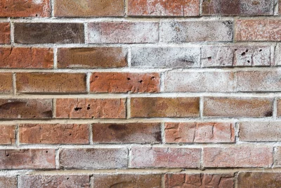 A close-up view of a brick wall with reddish-brown bricks and visible white mortar. Some bricks show patches of salt efflorescence and surface imperfections.