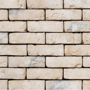 D0129: Sexton Fiesta