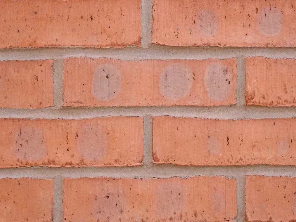 H0087 - Shelton Red Multi