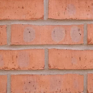 H0087 - Shelton Red Multi