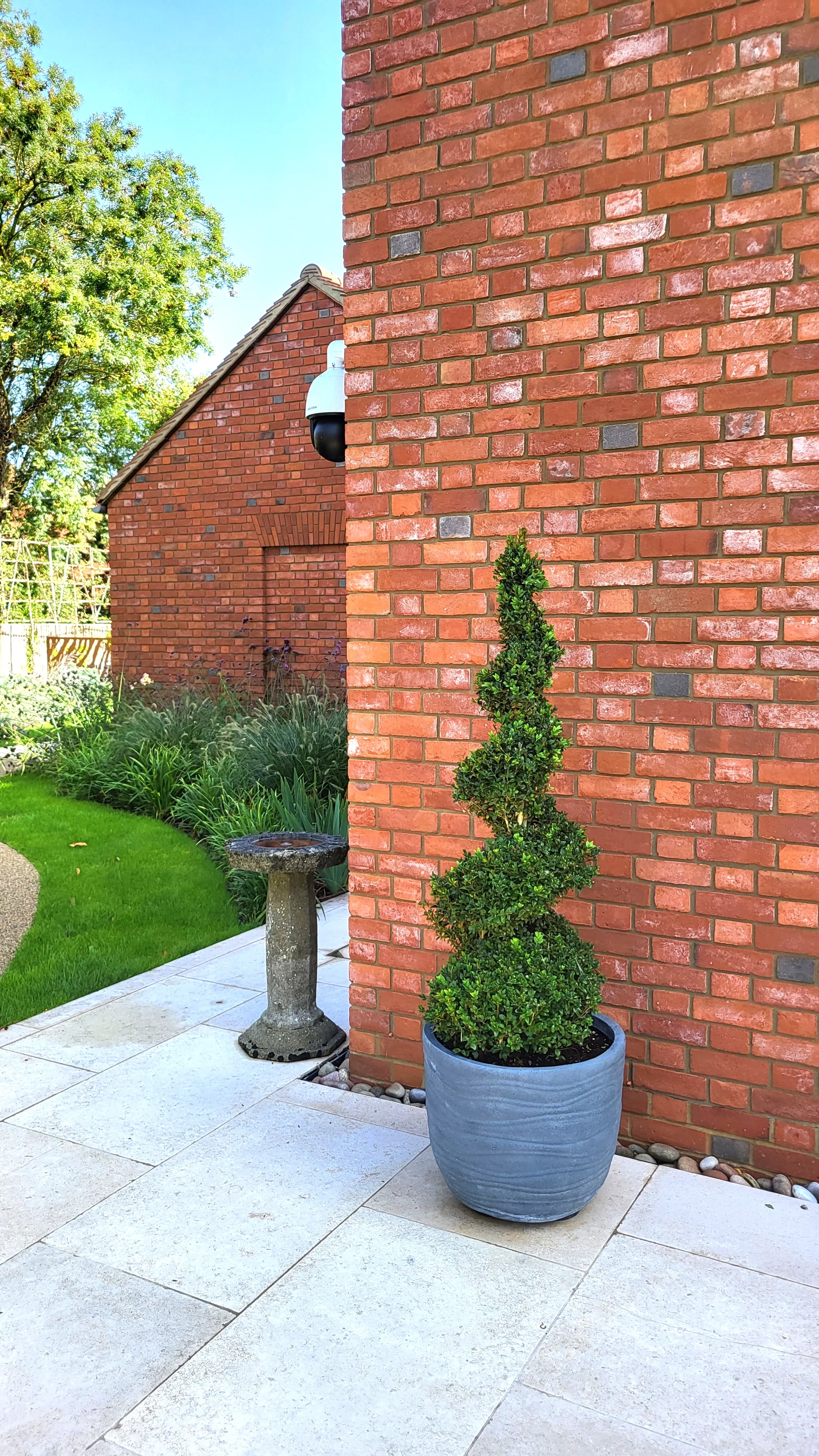 A potted, spiral-shaped topiary stands on a tiled patio next to a red brick wall, with a bird bath and garden visible in the background.