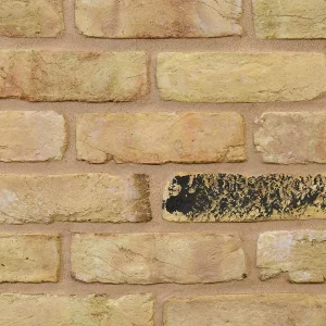 Yellow Stock bricks shows one yellow brick with a blackened, charred section amidst otherwise uniform bricks.
