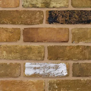 A sample of a brick wall displaying yellow tones