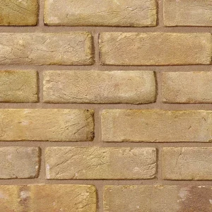 A brick sample displaying buff tones