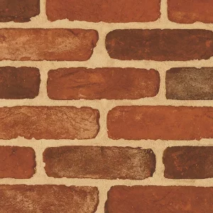 Multi brick wall with red and brown bricks in a horizontal pattern, separated by beige mortar.
