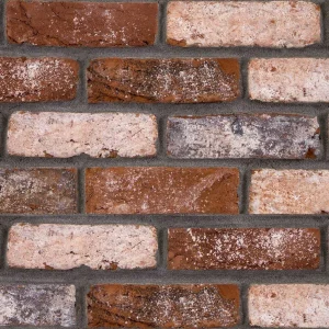 Bricks in alternating courses of red and light brown tones, separated by grey mortar.