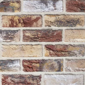 Close up of a multi brick wall, featuring rough textures and visible mortar lines in shades of red, brown, grey, and tan.