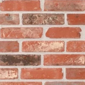 A close-up of a brick wall, featuring red and brown bricks in a staggered pattern with light-coloured mortar.