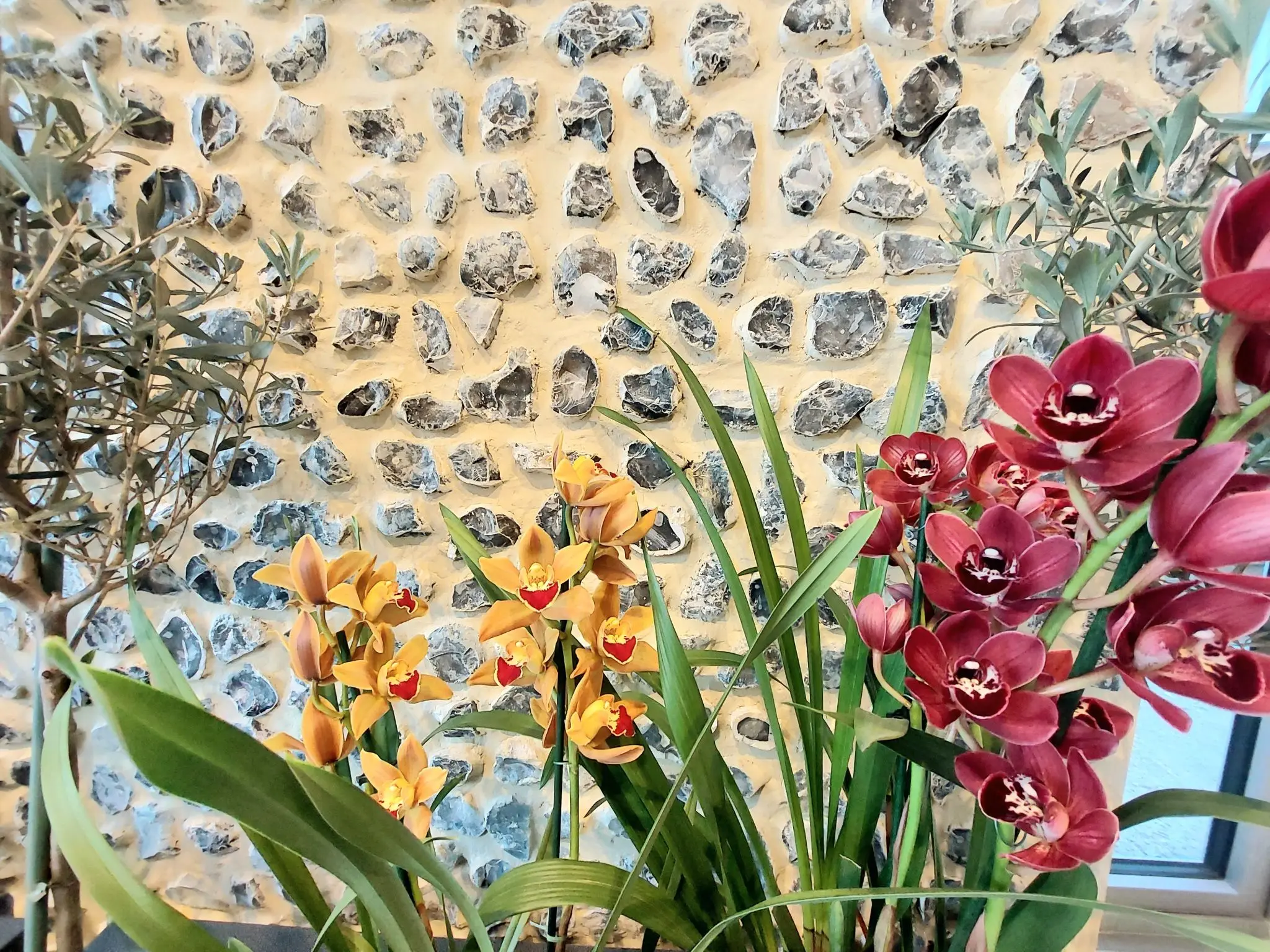 Yellow and dark pink orchids with long green leaves are arranged in front of a stone wall.