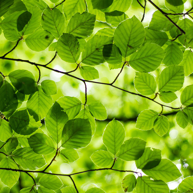 EXPLORE Greensand Country