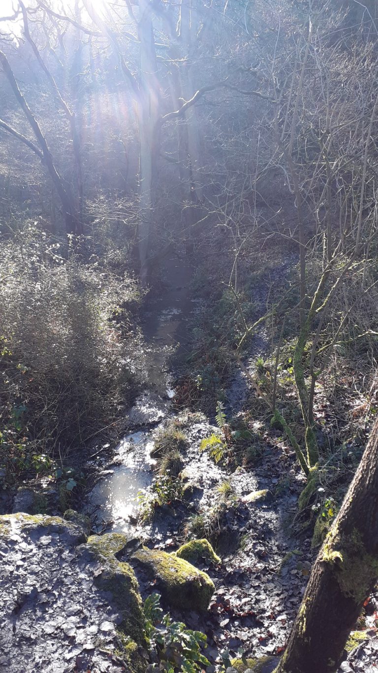 Your experience Greensand Country