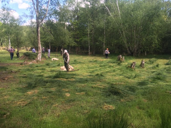 A Moor for all Seasons Protecting Flitwick Moor Greensand Country