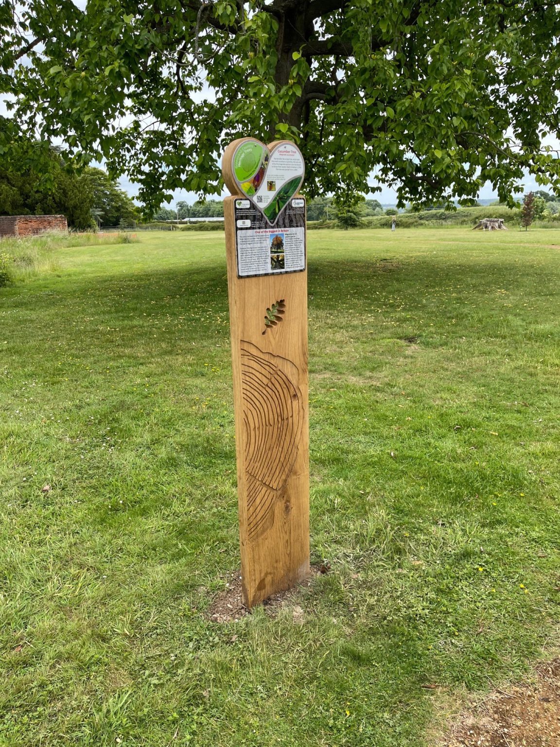 Heritage Trees Greensand Country