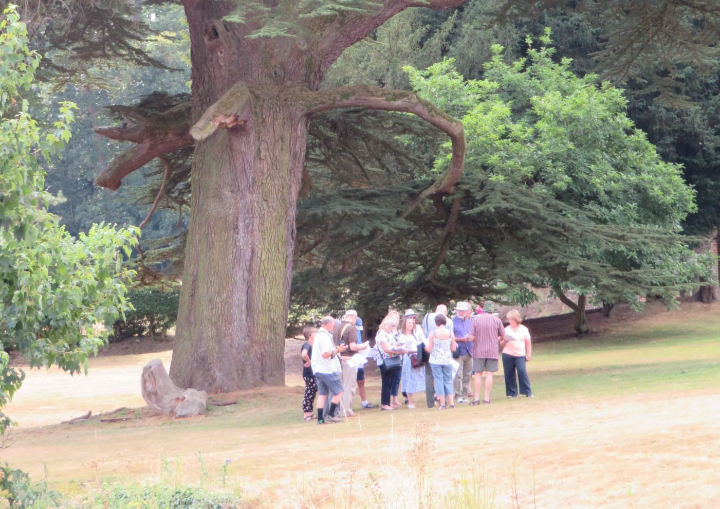 Greensand Country conference series launched