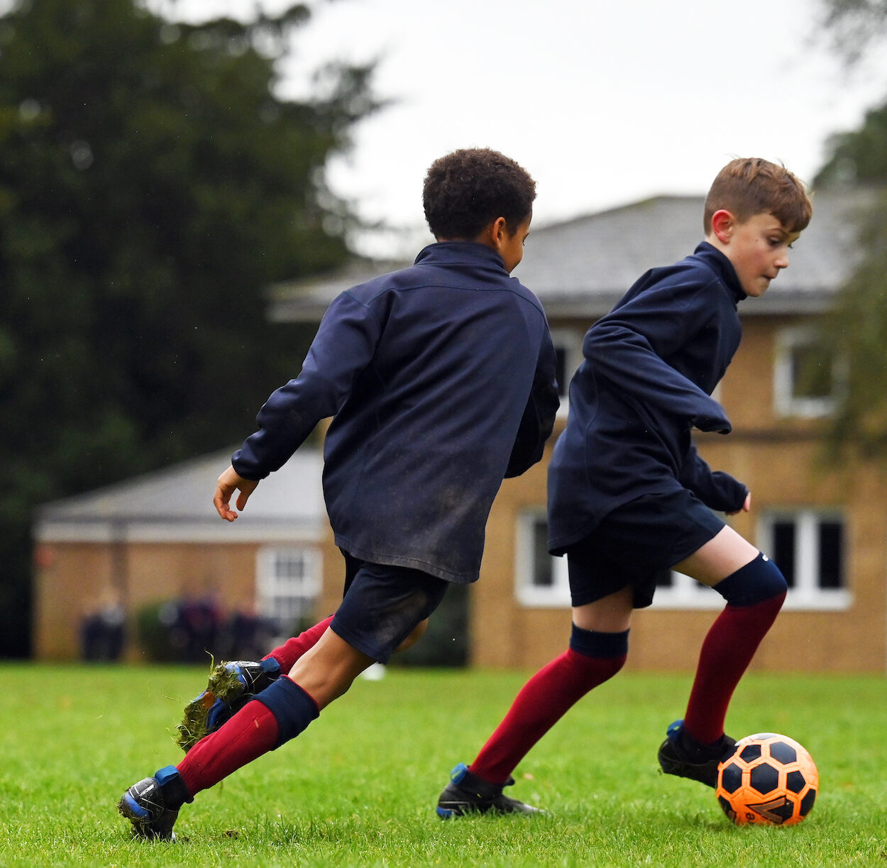 Specialist Mentoring Programme | Scholarship Support | Swanbourne House | Milton Keynes