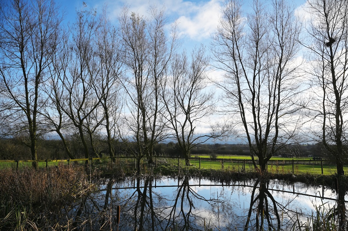 A serene pond surrounded by trees, with the reflections of the trees mirrored in the calm water. The landscape is part of Swanbourne House School, set within the tranquil Buckinghamshire countryside.