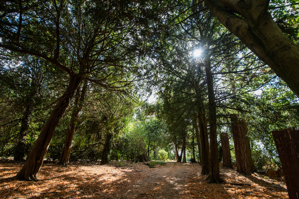55 acres of independent school grounds in Buckinghamshire