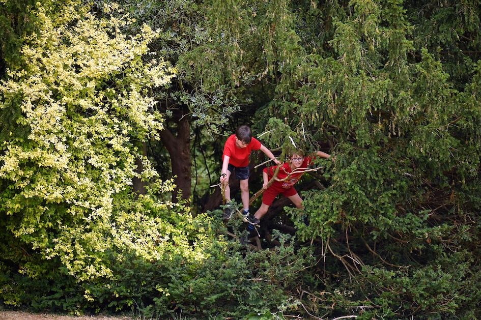 Children exploring and climbing trees in the grounds of Swanbourne House independent school in Buckinghamshire.